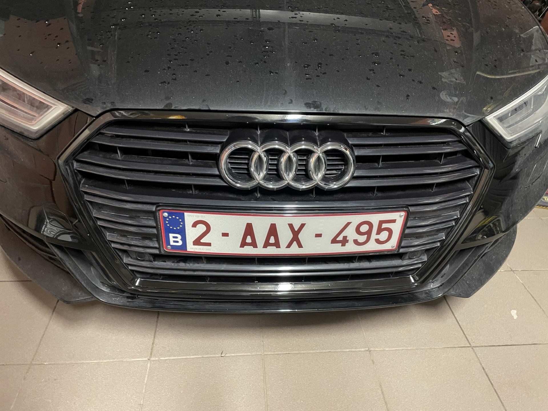 Audina